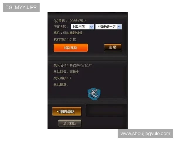 PG游戏是啥的缩写以及它在不同类型游戏中的具体代表意义详解