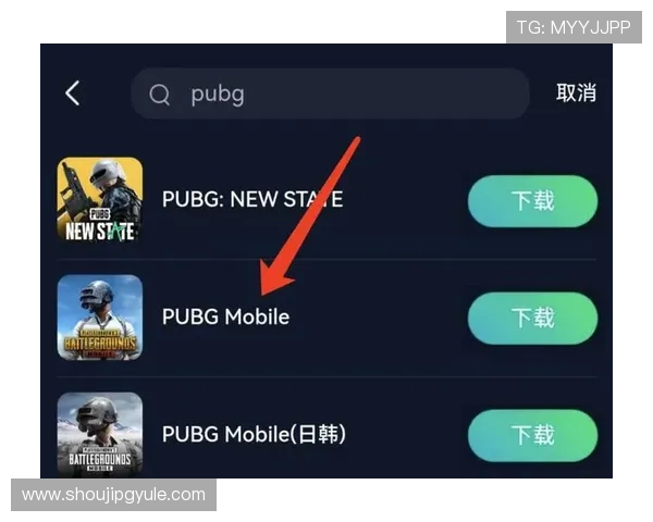PPG国际服下载过程中遇到的错误代码及解决方案详解